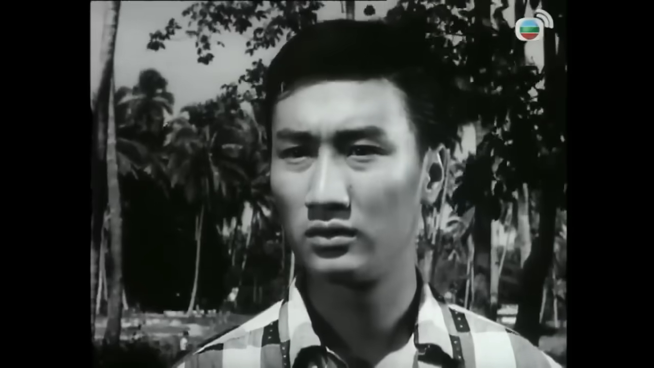 血染相思谷 · 葉菁